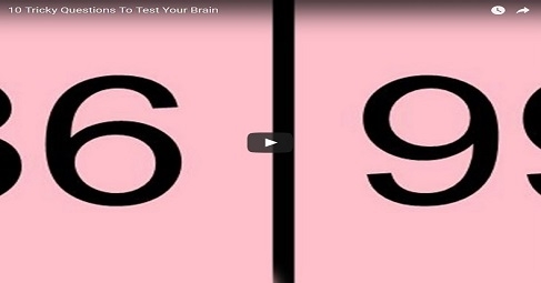 10 Tricky Questions To Test Your Brain
